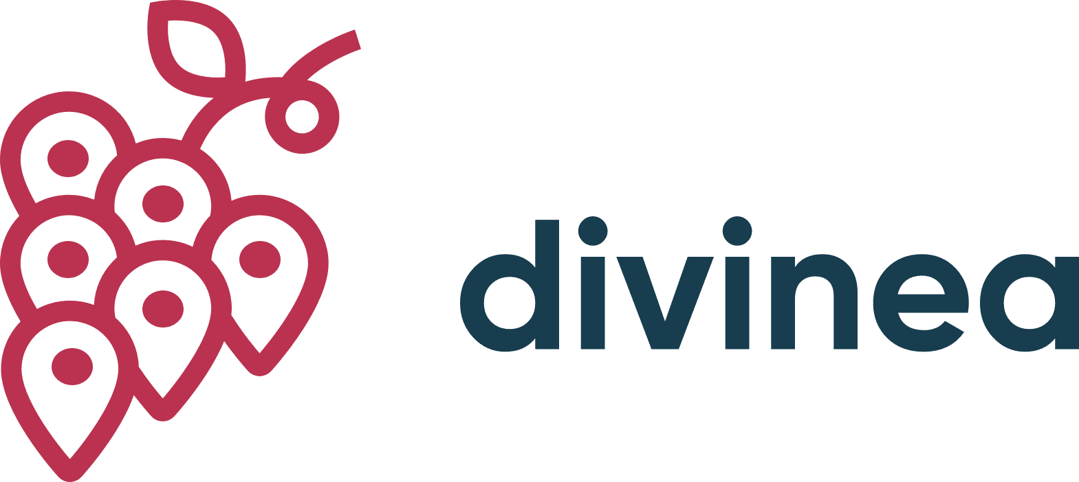 logo divinea esperienza di vino